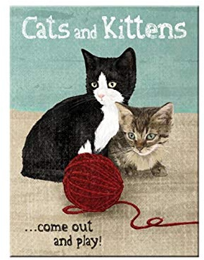 Nostalgic-Art-bilderpalette 14242 Animal Club boîte à provisions avec Inscription Cats and Chatons, magnétique, 8 x 6 cm