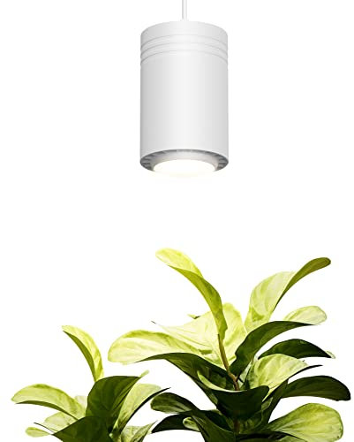 Aspect Large White Luxury LED Grow Light – for Medium and Large Plants