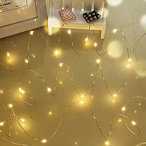Dalugo Guirlande Lumineuse LED, 5m 50 LED Guirlande Lumineuse Pile, Blanc Chaud Guirlandes Lumineuses pour Chambre Jardin Maison Mariage Fête