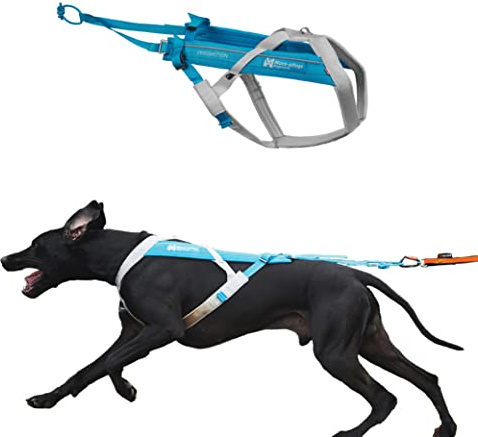 Freemotion Harness 5.0 Parent Listing (Blue/Gray, 8)