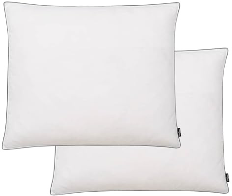 vidaXL Kuddar 2 st dun-/fjäderstoppning lätt 70x60 cm vit
