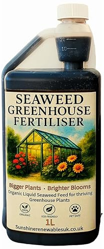 Seaweed Fertiliser Greenhouse Plants 1L – Organic Liquid Feed for Tomatoes, Cucumbers, Peppers & Seedlings – Sunshine Renewables UK