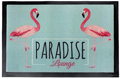 Carpido Fußmatte innen Schmutzfangmatte - rutschfeste Eingangsmatte waschbar - hochwertige Türmatte 40x60 cm Flamingo Design - Fußbodenheizung geeignet