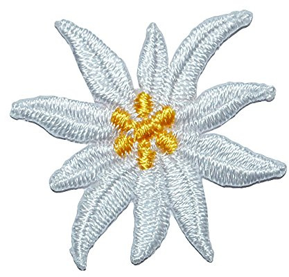 alles-meine.de GmbH kleine Blüte Edelweiss - 3,5 cm * 3 cm Bügelbild - Aufnäher Applikation - weiße/beige/Ivory Edelweiß Blumen Blüten für Trachten Alpen Alpenblume