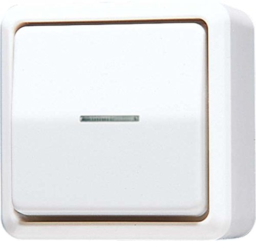 Jung 606KO5A Wipp-Kontrollschalter Universal aus-Wechsel