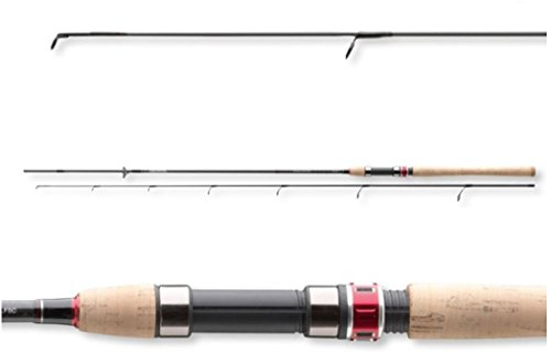 Daiwa Procaster Spin 3,00m 30-60g Spinnrute
