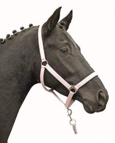 HKM Stars Economy Softice Halfter Pink Vollblut
