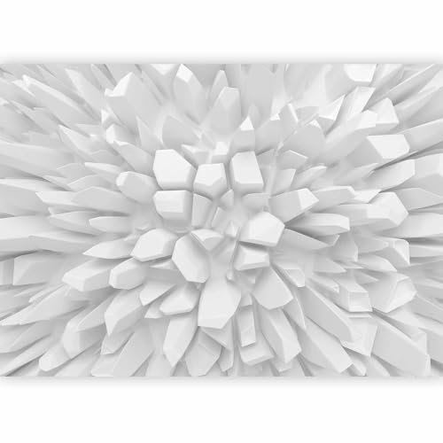 Fotomurale murando Carta da parati 400x280 cm TNT Murale alla moda Decorazione da Muro XXL Poster Gigante Design Carta per pareti astrazione 3D ottico a-A-0134-a-a