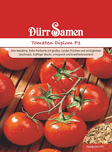 Dürr-Samen - Tomaten Diplom F1 Saatgut