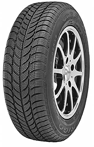 Debica Frigo 2 M+S - 205/55R16 91T - Winterreifen