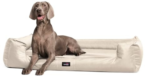tierlando® Orthopädisches Hundebett Goofy für große Hunde XL bis XXXL mit waschbarerem Polyester-Bezug, ideal bei Gelenkproblemen Größe: 110x90cm | Farbe: 05 Creme