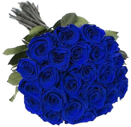 Ramo de Rosas Naturales Flores Frescas Color Azul Ramo con 25 Flores de Temporada
