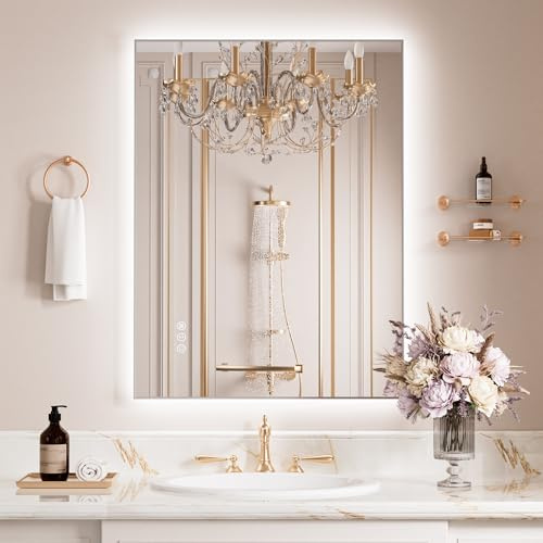 WEER Miroir LED Salle de Bain 60x80cm, Métal Argenté, 3 Couleurs, Antibuée | Dimmable, Antibuée Auto, Mémoire Des Réglages, IP44 étanche, Verre Trempé Anti-éclat, Métal Miroir Mural Éclairé, Couloir
