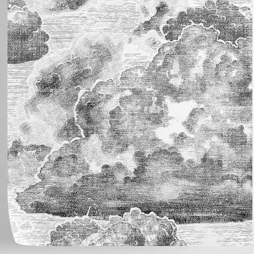 W4B Papier peint Nuage gris Papier écologique (sans solvant) Facile à appliquer, 8 feuilles de 70 x 100 cm (5,5 m²) Maison, décoration et rééducation.