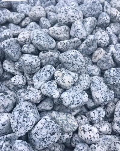 HCommerce Granit Zierkies grau I Aquarium, Garten Kies I Körnung 25-40mm I 1Kilogramm
