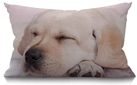 BGBDEIA Hunde-Lendenwirbelkissen Kissen, 30 x 50 cm, dekorativer Schlafzimmer, Wohnzimmer, lustiger Labrador, Welpen, rechteckig, für Bett, Sofa, Couch