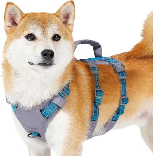 Huntboo Sicherheitsgeschirr Hund Ausbruchsicher, Panikgeschirr für Hunde, Reflektierendes Geschirr Hund mit Griff, Verstellbare Hundegeschirr für kleine, mittelgroße und große Hunde (Blaugrün,S)