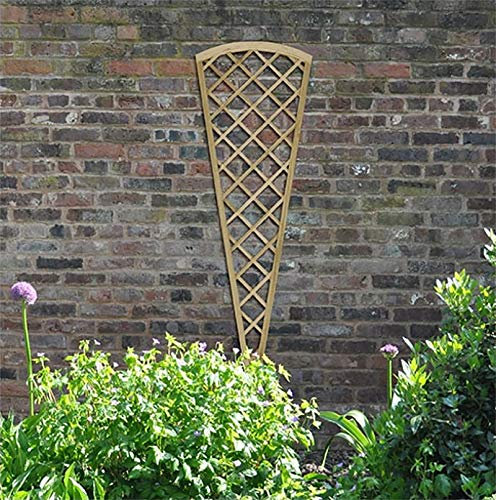 Forest Garden Hidcote Fan Lattice - 180 x 61cm - Pack of 5