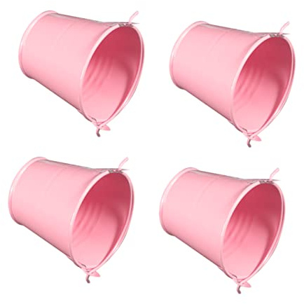 TOYANDONA 4pièces Mini Seaux Fer Robustes pour Décoration Jardin Balcon Et Salon Pots De Fleurs Polyvalents pour Plantes Succulentes Et Rangement Créatif De Rose