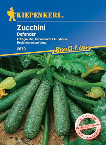 Kiepenkerl Profi-Line Zucchinisamen Defender F1 - Ertragreiche Gemüsesamen für den Garten, Resistente Sorte für Lange Ernte bis Herbst, F1-Hybride, Ideal für Gemüsegarten