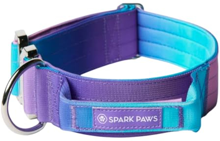 Spark Paws Taktisches Hundehalsband – Robuste, Premium-Qualität, Dick und Langlebig für Große und Mittelgroße Hunde (5cm/2in Width) - 90s Retro - M, 5cm