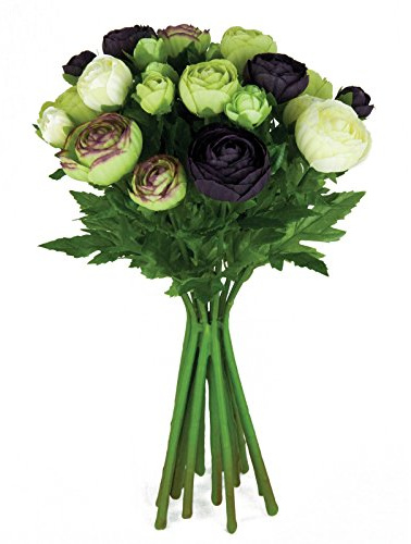 FloristryWarehouse Seidenblumen, Ranunkel-Strauß, Grün/Aubergine/Creme, 15 Stiele, 33 cm