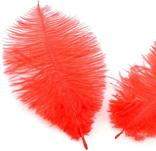 ies 10 stycken 15–20 cm naturliga strutsfjädrar, bukettfjäder för pyssel, pysselfjädrar för gör-det-själv drömfångare tillbehör, heminredning, kostymer, bordsdekoration, bröllop, fest, hatt, kläder,