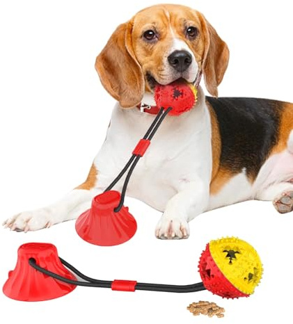 Jenilily Jouets de Balle de Jouet de Chien avec Ventouse, Jeu Multifonctionnel avec Corde Elastique, Boule/Balles à Mâcher de Dents
