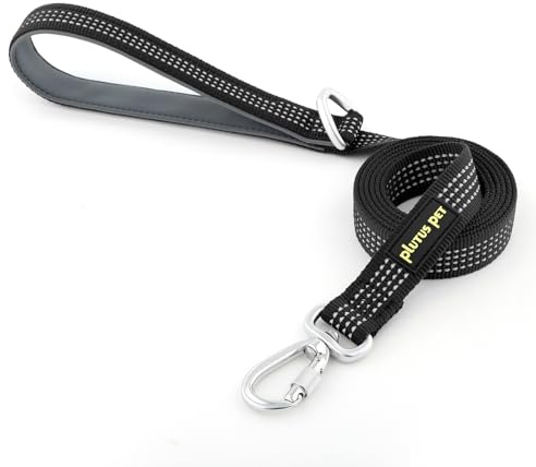 Plutus Pet Heavy Duty Dog Lead with Lockable Aluminum Carabiner, 1.2m Long | Double-Sided Reflective Nylon, Padded Handle, Heavy Duty, for Puppy Small Medium and Large Dogs (Black, 2.0 x 120cm)