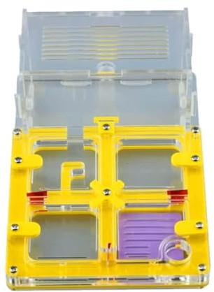 Ameisennest, Ameisenfarm Acryl-Schloss-Displaybox 17cm Mehrfarbig(Yellow)