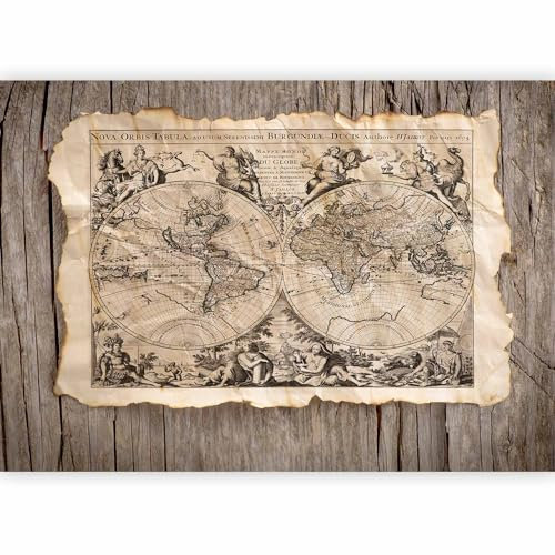 murando – Papier peint intissé – 300x210 cm – Trompe l oeil - Tableaux muraux – Déco – XXL– carte bois k-B-0005-a-a