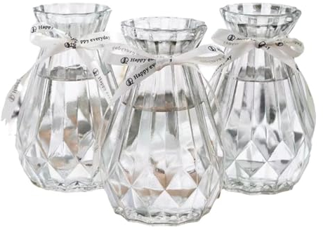 Soulnioi Jarrones de vidrio transparente para flores con cuerda de seda, jarrón de jacinto/jarrón hidropónico transparente para decoración del hogar, vidrio de plantas para flores de escritorio,