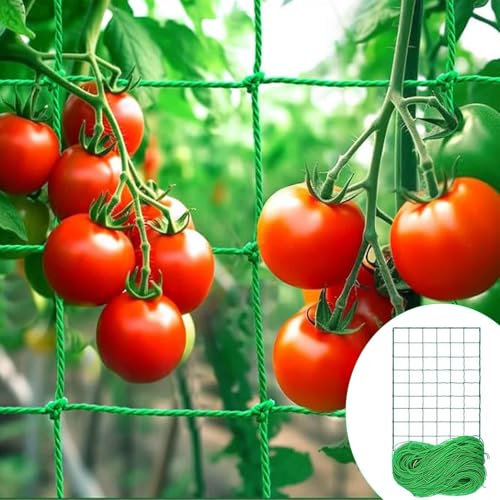 Una Pieza de Red para trepar Plantas de 200 x 500 cm 50 Bridas Verdes Enrejado Enredadera Malla Red para trepar Plantas Nailon Durable Adecuado para una Variedad de Plantas trepadoras