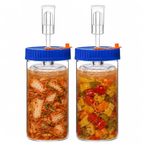 SwiftSlot Lot de 2 bocaux de fermentation de 1,5 l avec poids en verre, valves Airlock pour choucroute, kimchi, sauce chili, kombucha, hydromel et cidre