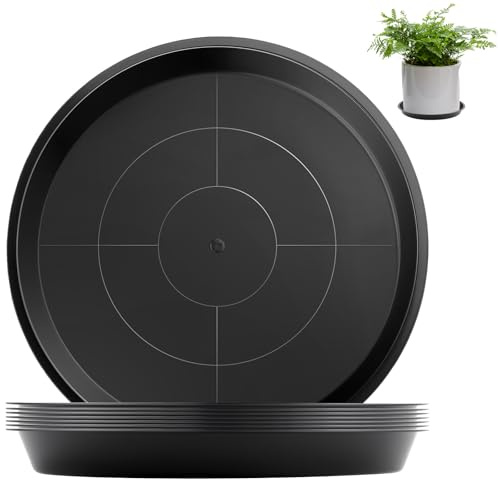 Sturiz 8 Pièces Coupelle Pot de Fleur Soucoupe sous Coupe Dessous Pot Fleur 16 Cm Rond Noir Soucoupes pour Pots de Fleurs Soucoupe Jardiniere pour Plantes D'Intérieur et D'Extérieur