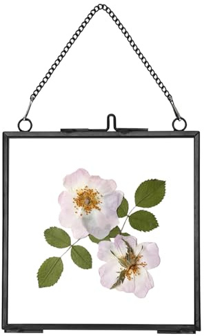 REDHUGO Glass Pressed Flower Frames,Vintage Hanging Picture Frames with Chain,Handmade Brass Floating Picture Frame,Plant Specimen Wall Ornament Display DIY Family Photo,Square,Black,4x4 Inches