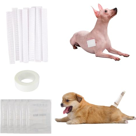 KeaJuidy Hundeschwanzschutz Hundeenden Set Haustier Selbsthaftende Bandage Dog Tail Protector Hundeschwanz Dressing Tierarzt Wrap für Hunde Haustier Tiere