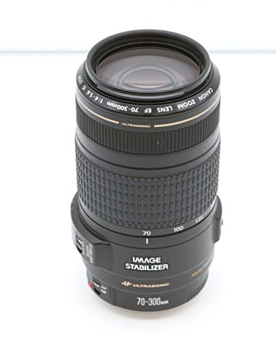 Canon EF 70-300mm f/4-5,6 IS USM Objectif Noir