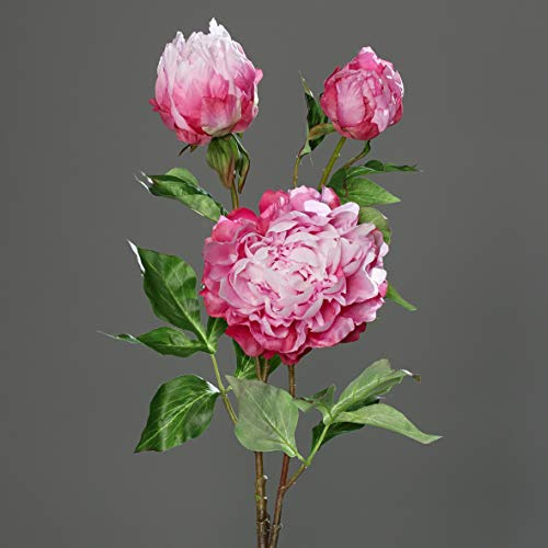 Seidenblumen Roß Große Pfingstrose mit 3 Blüten 82cm rosa-pink DP Kunstblumen künstliche Blumen Päonie