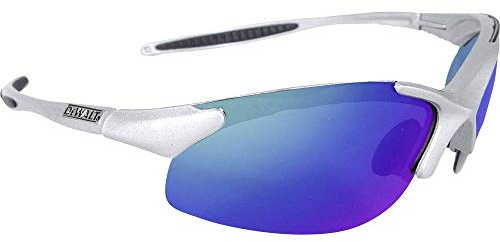 DeWalt Gafas Protectatores - DPG90S-7D