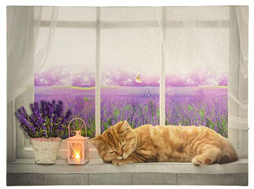 Nexos Trading LED Wandbild Leinwandbild mit Beleuchtung Fotodruck Lavendelfeld 30 x 40 cm 1 LED warm weiß Kunstdruck Leuchtbild Wiese Vintage-Stil Lavendelfeld Katze