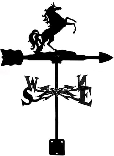Wetterfahne aus Metall, Edelstahl, Windfahne, Retro-Wetterhahn, Windrichtungsanzeiger mit Rostschutzbeschichtung, Ornament für Garten, Terrasse, Hof(A)