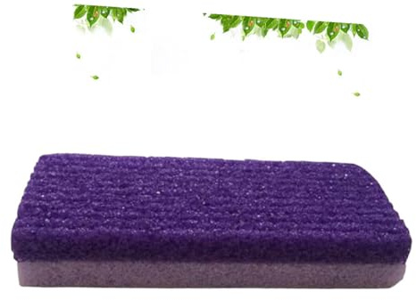 ABOOFAN Removedor de Callos para Pies Portátil Limadora de Durezas Exfoliador de Piel Muerta Suavizador de Talones Agrietados Herramienta de Pedicura Manual Morado
