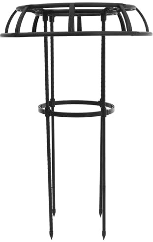 SEWACC Plantas Trepadoras Soporte para Plantas De Interior y Exteriores Duradero y Resistente y Decoración