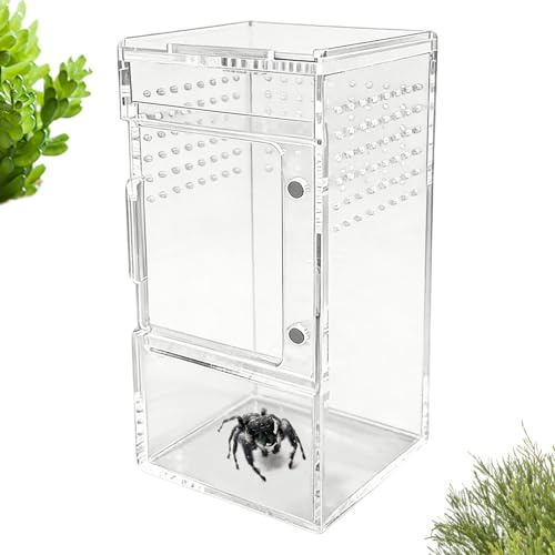 Acrylic Jumping Spider Enclosure - 6x3x3 Inch Clear Terrarium With Sliding Lid, Ventilated Habitat For Tarantula Slings Scorpions And Isopods | Small Reptile Breeding Box