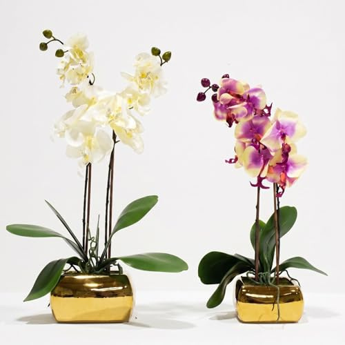 HOMESCAPES Artificial White Orchid in Gold Vase - Set of 2 Faux Orchids that Look Real - Realistic Silk Orchid Plant in Pot for Indoor Home Decor, Table Centerpiece & Living Room Decoration