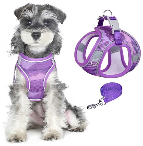 PawSailor Hundegeschirr-Leinen-Set, Step-In, Kein Ziehen, Bedruckt, Reflektierend, Atmungsaktiv, Verstellbar, Ausbruchsicher, Hundeweste, Geschirr Für Extra Kleine Hunde Und Katzen, Lila XXS