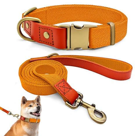 Set med halsband och koppel L 38–58 cm, läder med nylon (orange)