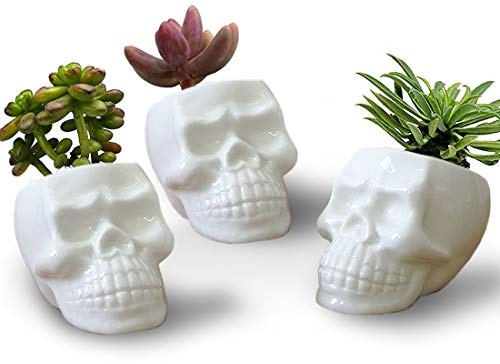 HOMSPE Set di 3 vasi e fioriere in ceramica a forma di teschio per piante grasse, cactus, portapenne, portapenne, decorazione per casa, ufficio, camera da letto, scrivania (bianco)