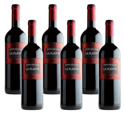 La Planta de Arzuaga Tinta Fina - Vino Tinto- 6 Botellas